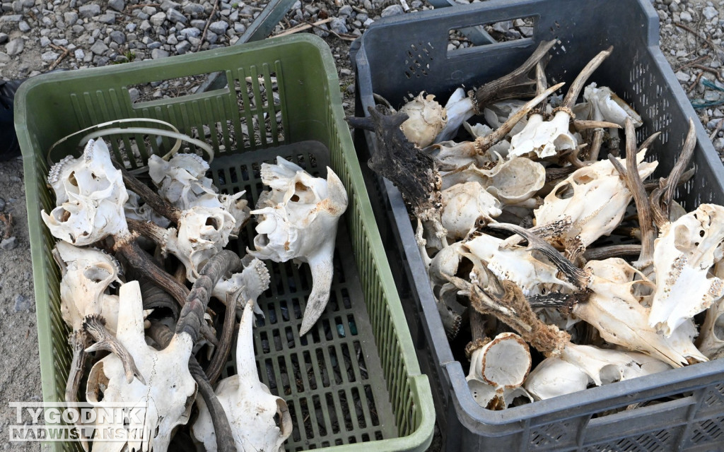 Kwietniowy Pchli Targ w Tarnobrzegu