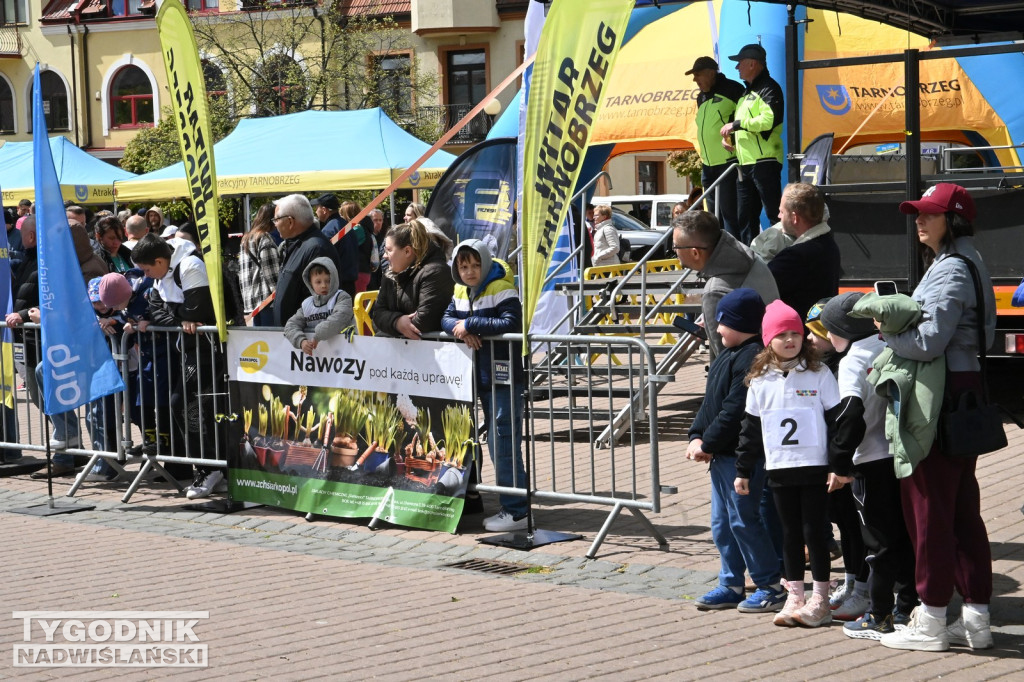 45. Bieg Siarkowca w Tarnobrzegu