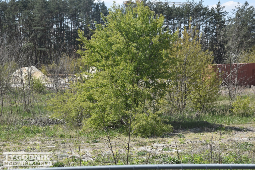 Budowa parku handlowego w Nowej Dębie