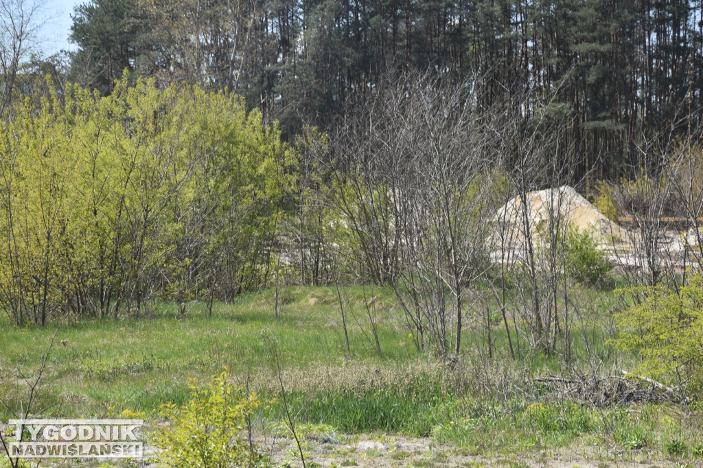Budowa parku handlowego w Nowej Dębie