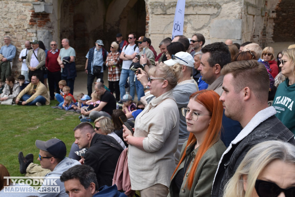 Gladiatorzy w Krzyżtoporze