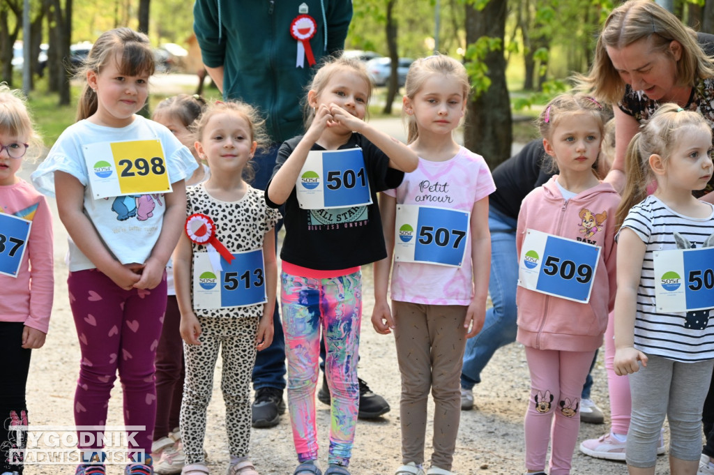 Bieg Konstytucji w Nowej Dębie 2026