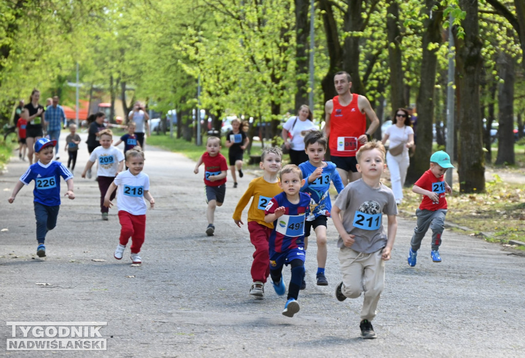 Bieg Konstytucji w Nowej Dębie 2026