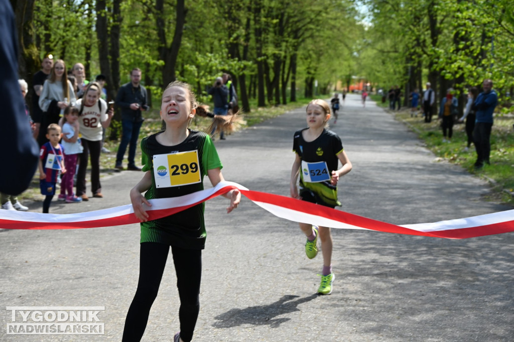 Bieg Konstytucji w Nowej Dębie 2026