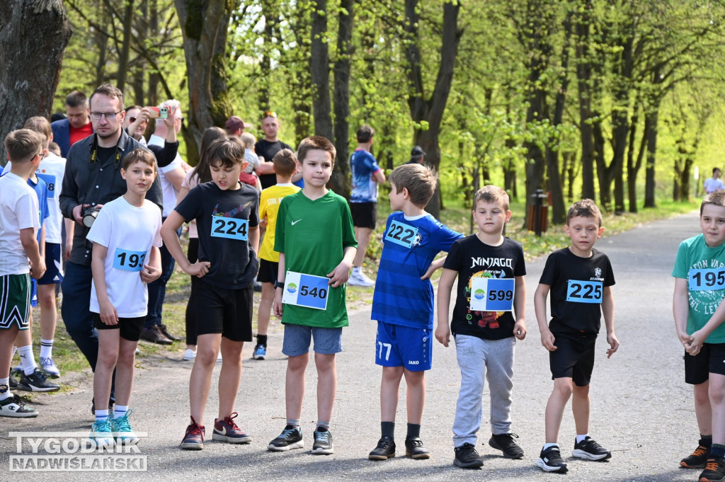 Bieg Konstytucji w Nowej Dębie 2026