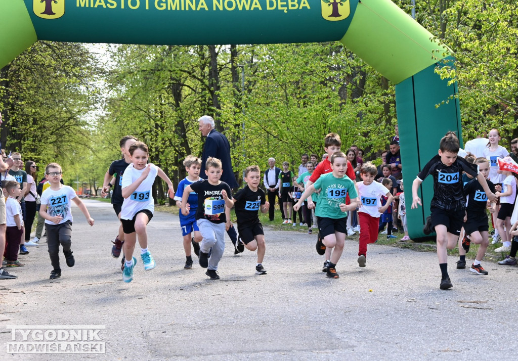 Bieg Konstytucji w Nowej Dębie 2026