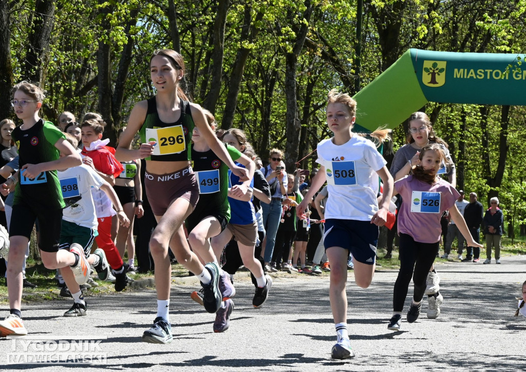 Bieg Konstytucji w Nowej Dębie 2026
