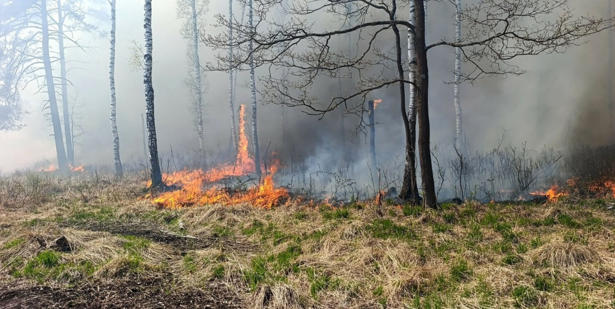 Pożar na poligonie w Nowej Dębie