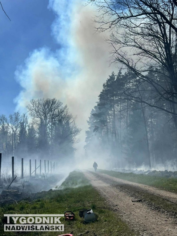 Pożar na poligonie w Nowej Dębie