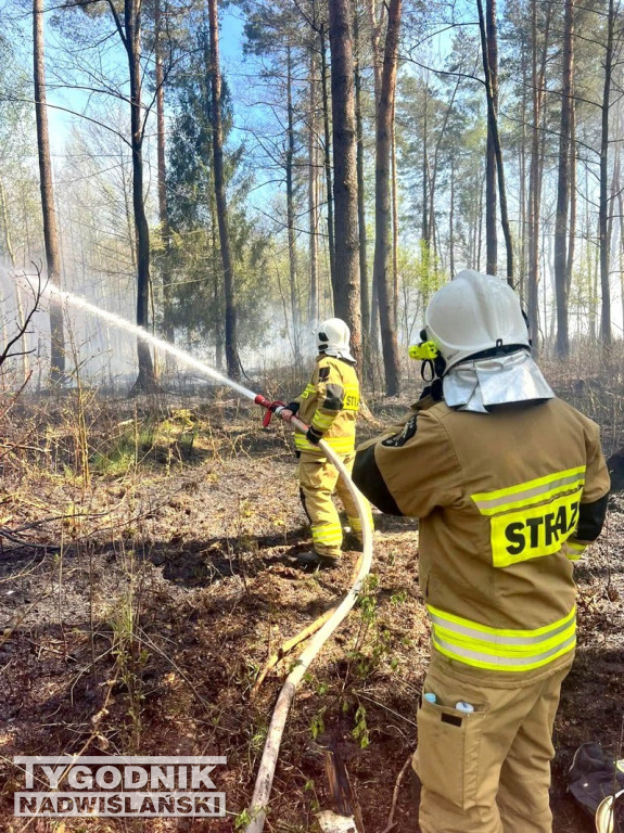 Pożar na poligonie w Nowej Dębie