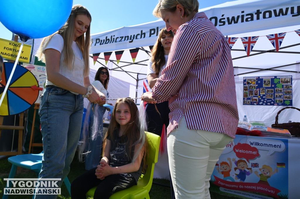 Święto Kwitnącej Jabłoni w Samborcu