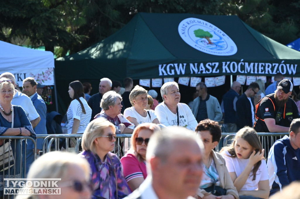 Święto Kwitnącej Jabłoni w Samborcu