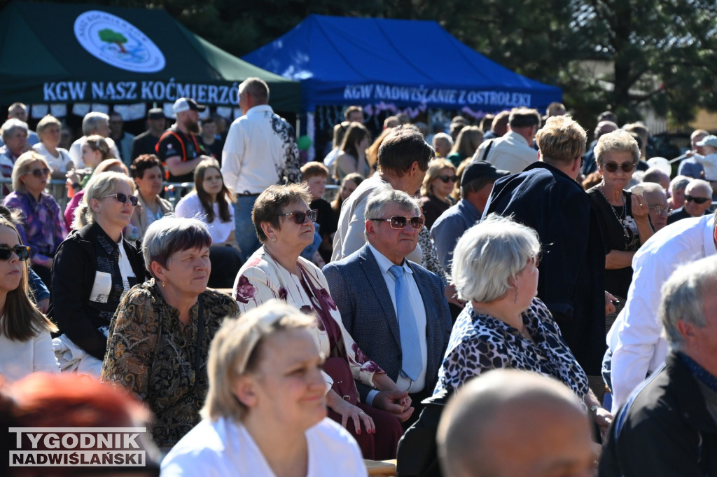 Święto Kwitnącej Jabłoni w Samborcu