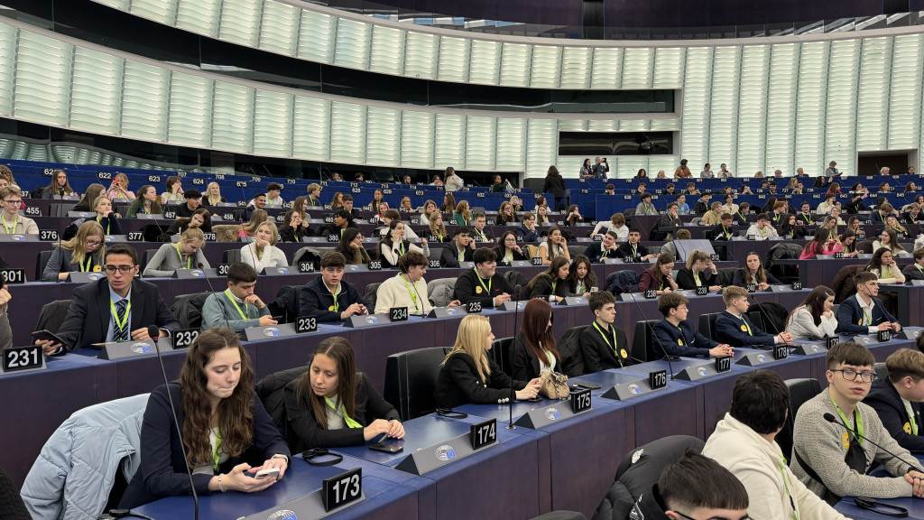Uczniowie ZS nr 2 w Nowej Dębie w Europarlamencie