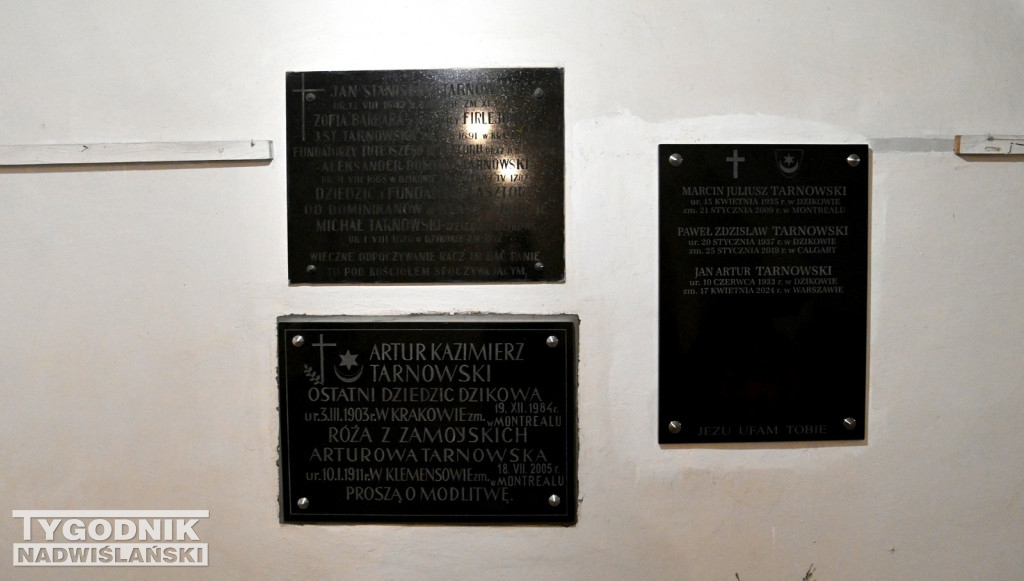 Noce Kultury w Tarnobrzegu