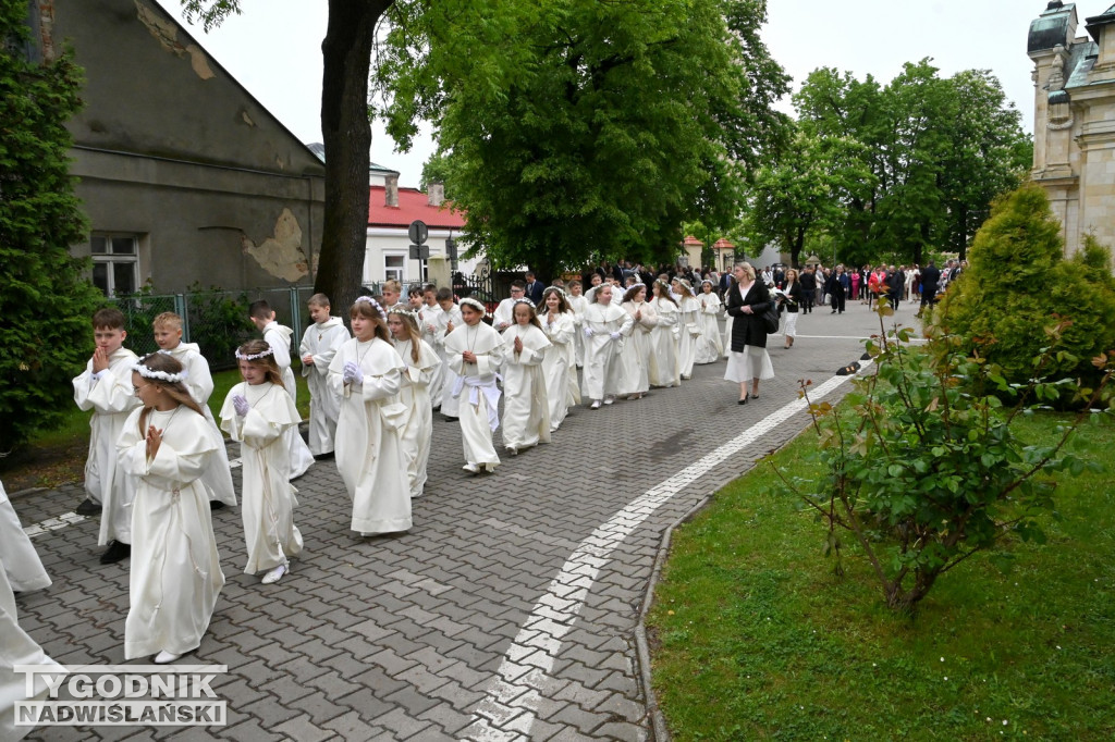 Pierwsza Komunia Święta u Dominikanów w Tarnobrzegu
