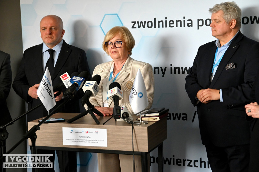 Konferencja biznesowa w hotelu EVVA w Tarnobrzegu