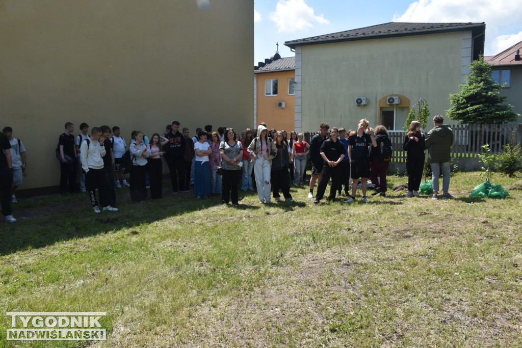 Piknik Ekologiczny w Rolniku