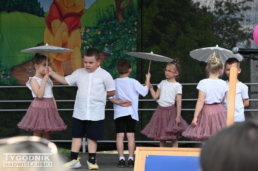 Piknik Rodzinny przy SP 10 w Tarnobrzegu