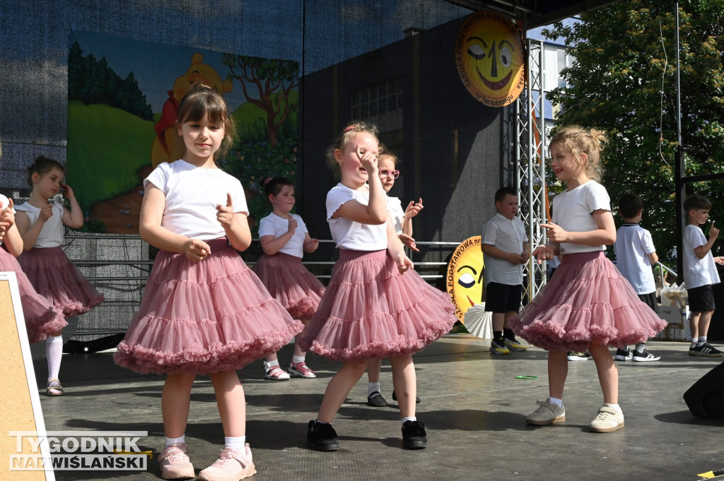 Piknik Rodzinny przy SP 10 w Tarnobrzegu