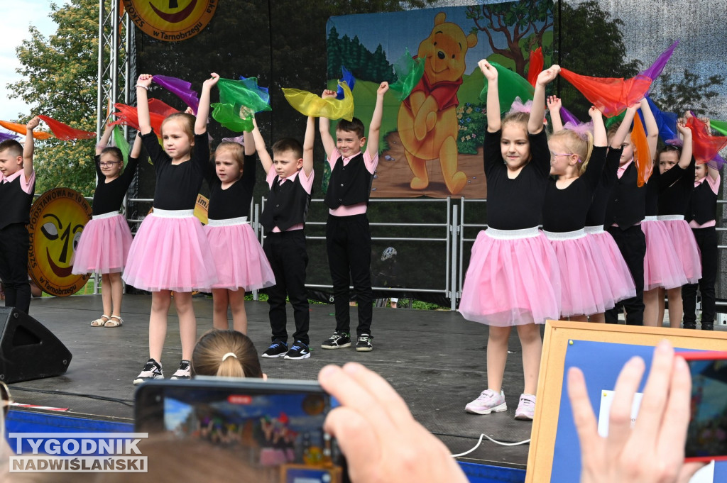 Piknik Rodzinny przy SP 10 w Tarnobrzegu