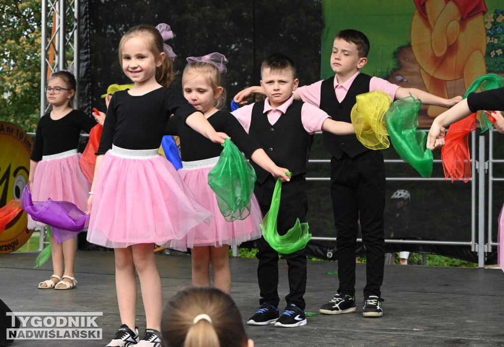 Piknik Rodzinny przy SP 10 w Tarnobrzegu