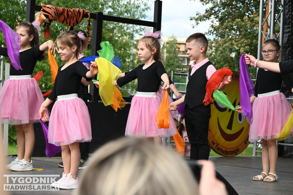 Piknik Rodzinny przy SP 10 w Tarnobrzegu