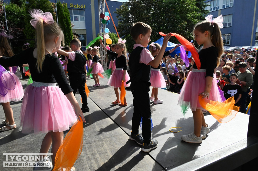 Piknik Rodzinny przy SP 10 w Tarnobrzegu