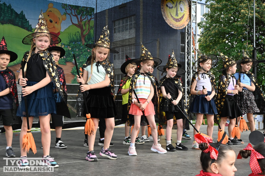 Piknik Rodzinny przy SP 10 w Tarnobrzegu