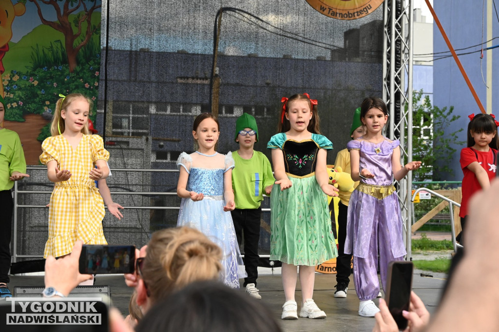 Piknik Rodzinny przy SP 10 w Tarnobrzegu