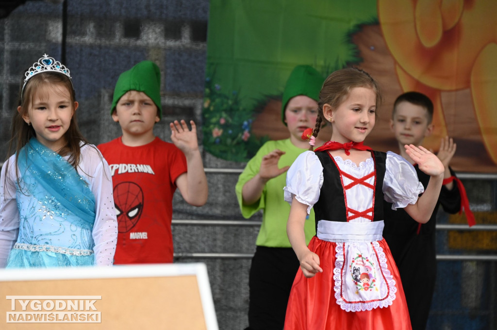 Piknik Rodzinny przy SP 10 w Tarnobrzegu