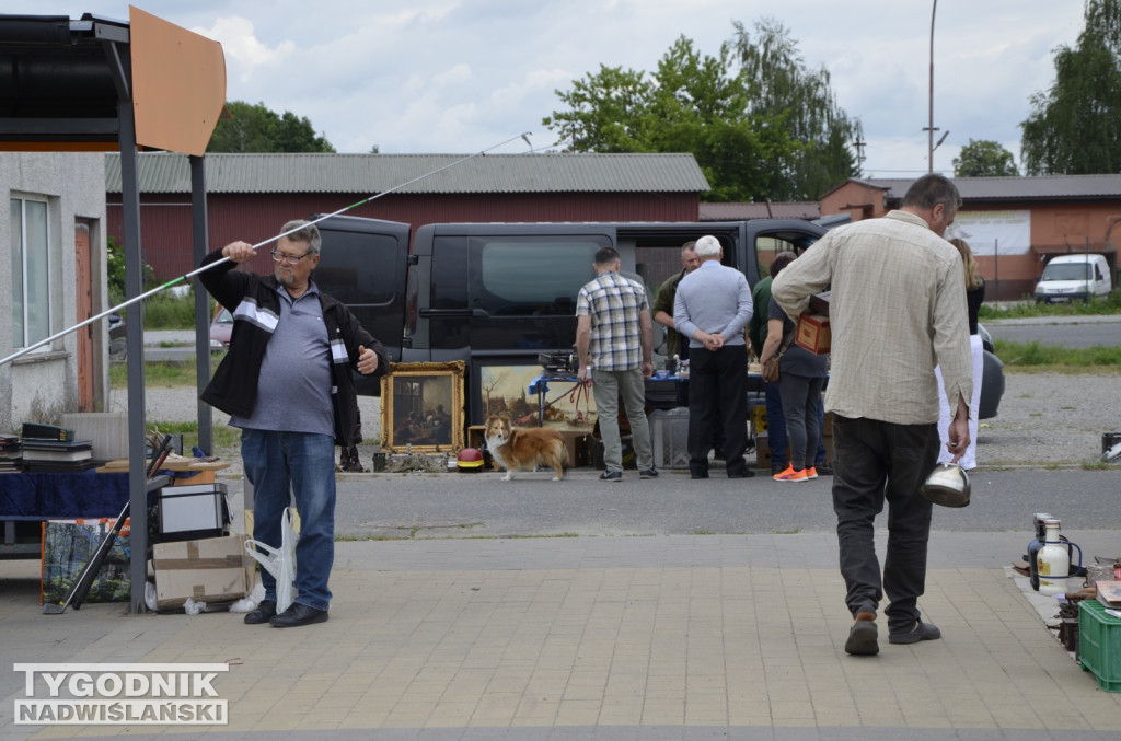Pchli Targ w Tarnobrzegu - maj 2026
