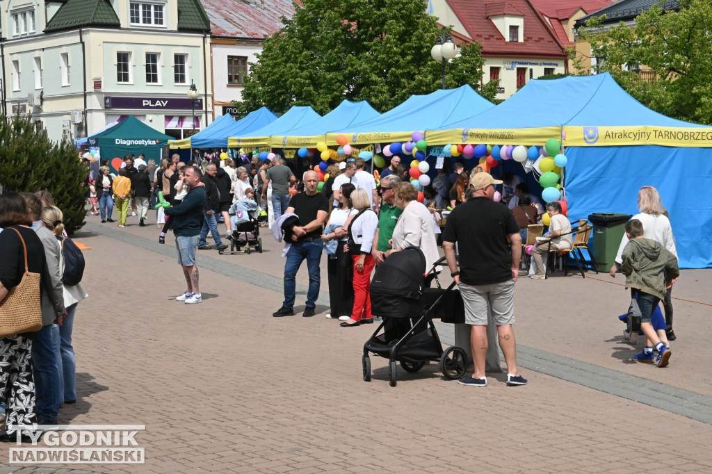 Piknik rodzinny na placu Bartosza Głowackiego w Tarnobrzegu