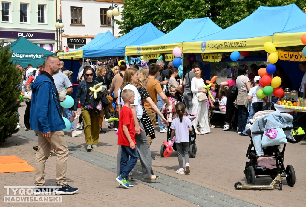 Piknik rodzinny na placu Bartosza Głowackiego w Tarnobrzegu