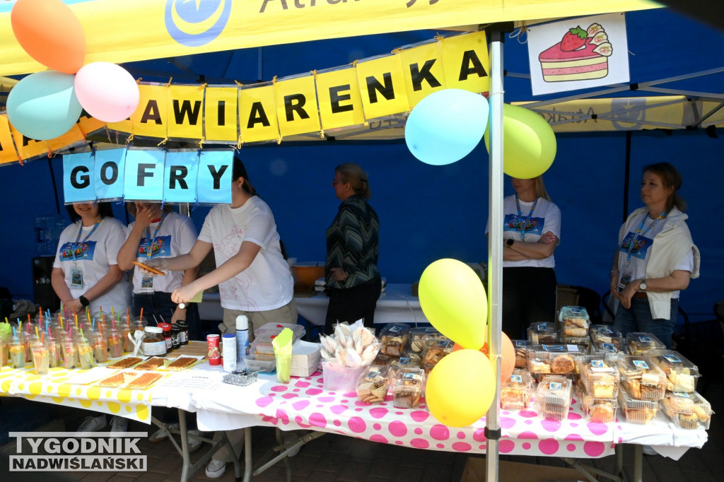 Piknik rodzinny na placu Bartosza Głowackiego w Tarnobrzegu