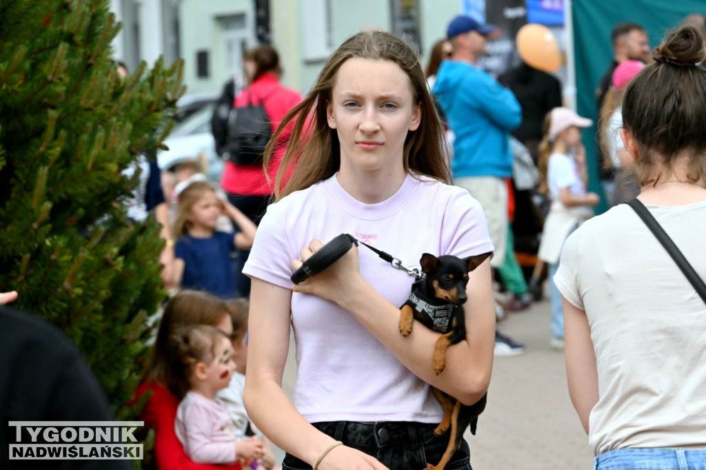 Piknik rodzinny na placu Bartosza Głowackiego w Tarnobrzegu