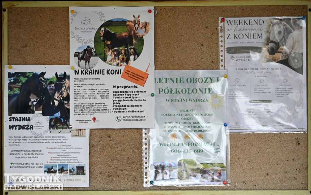 V Spotkania Jeździeckie w Wydrzy