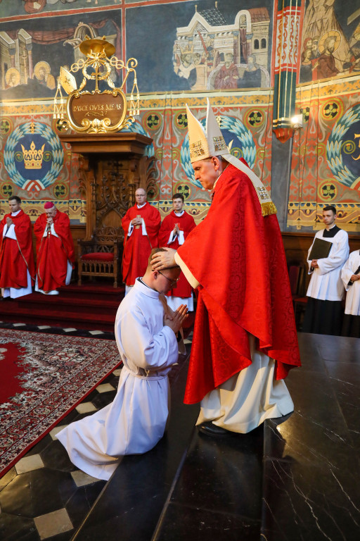 Święcenia diakonatu w sandomierskiej katedrze