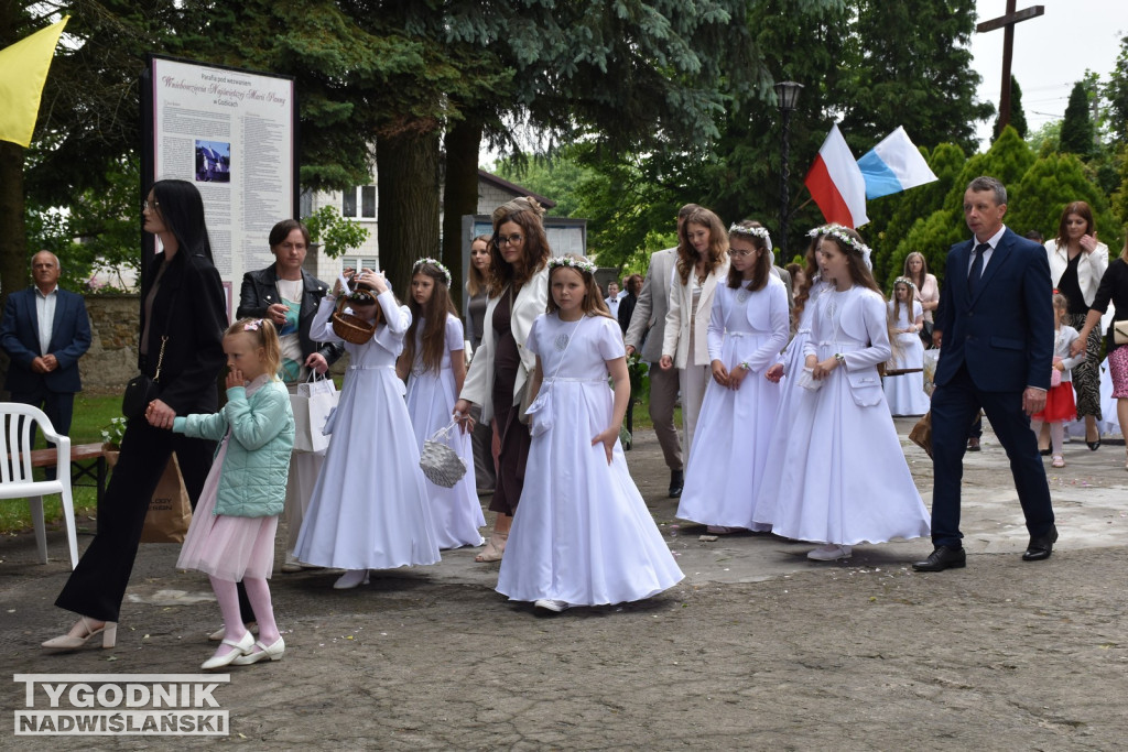 Boże Ciało w Goźlicach