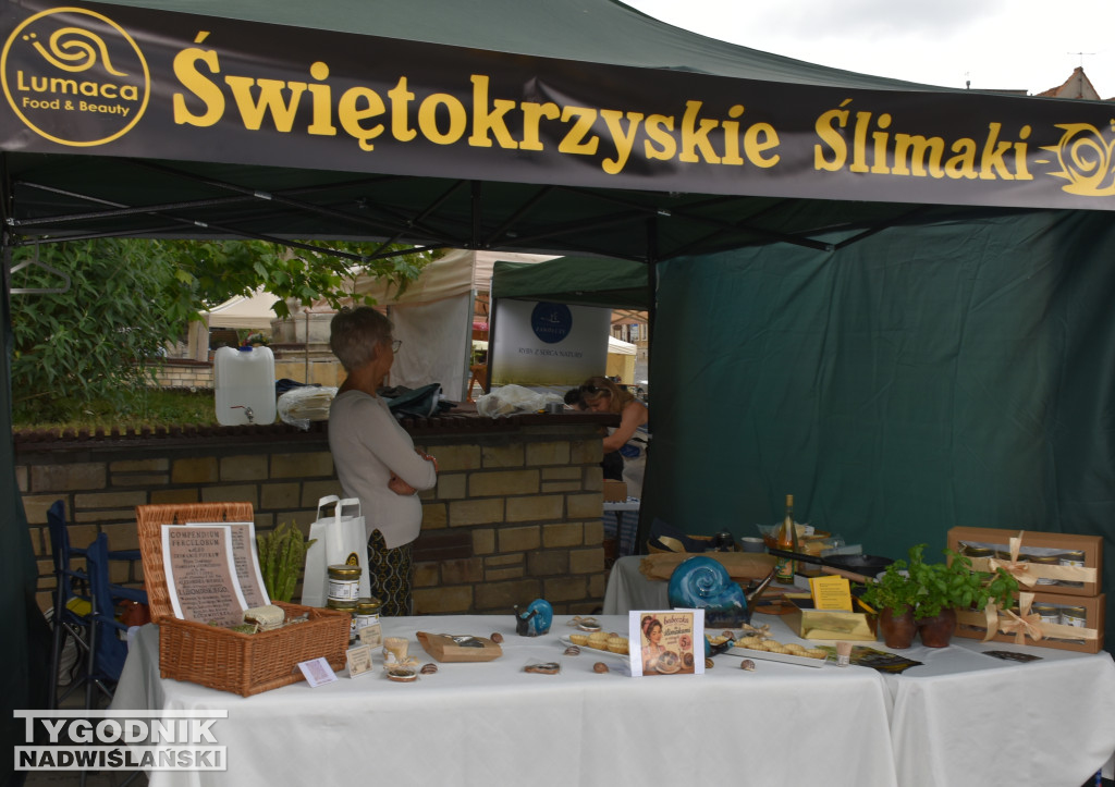 Pierwszy dzień festiwalu 