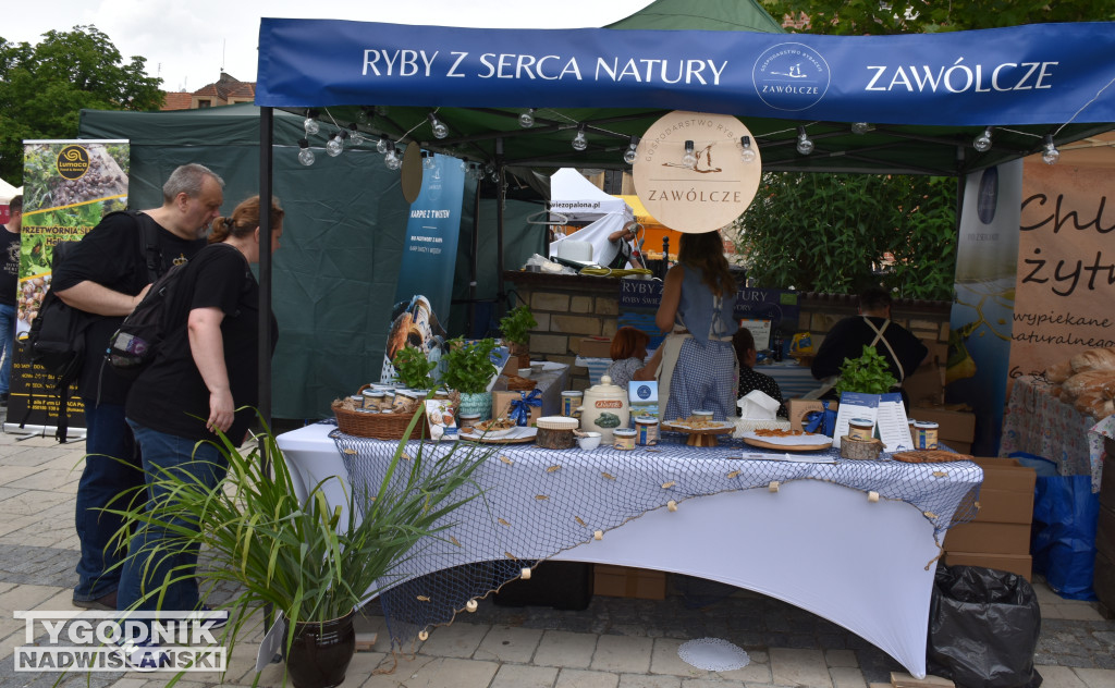 Pierwszy dzień festiwalu 