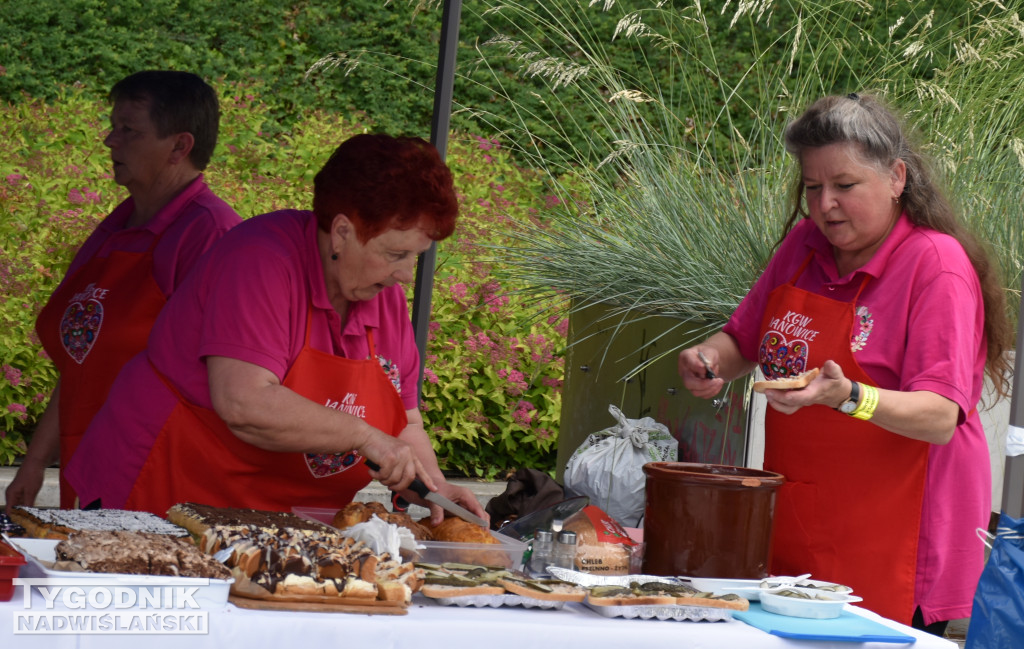 XI Senioralia w Sandomierzu