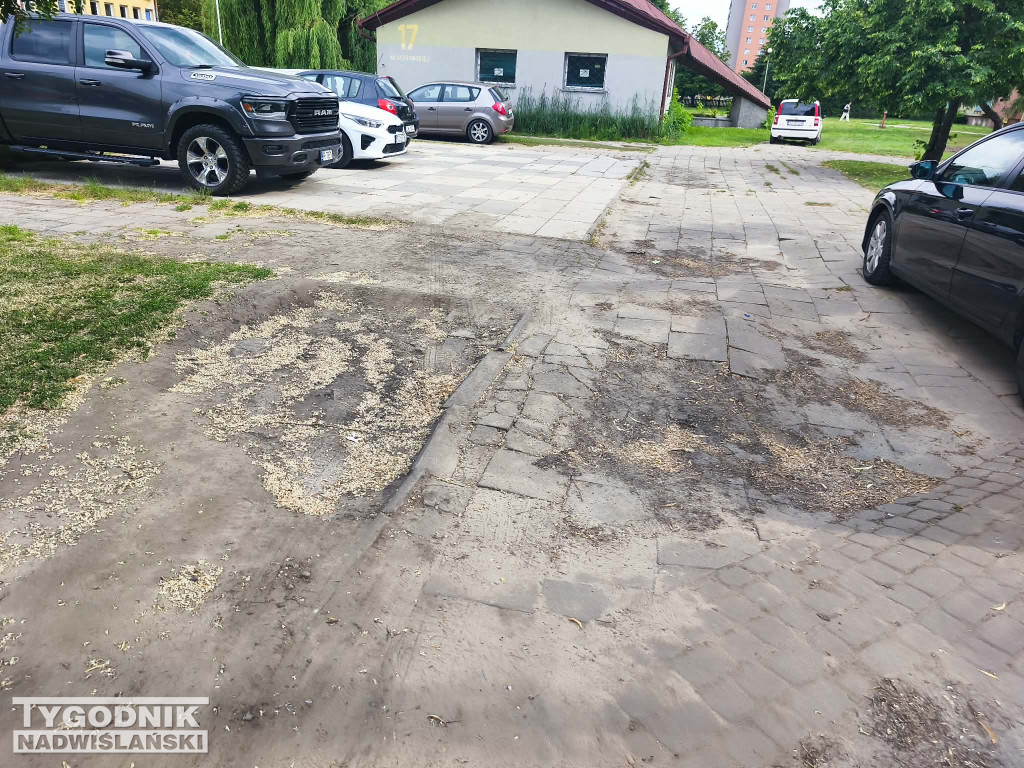 Ta część Serbinowa ma zyskać nowe oblicze