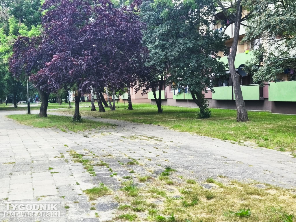 Ta część Serbinowa ma zyskać nowe oblicze