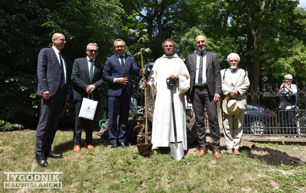 800-lecie obecności dominikanów w Sandomierzu