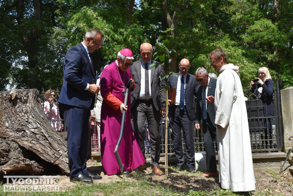 800-lecie obecności dominikanów w Sandomierzu