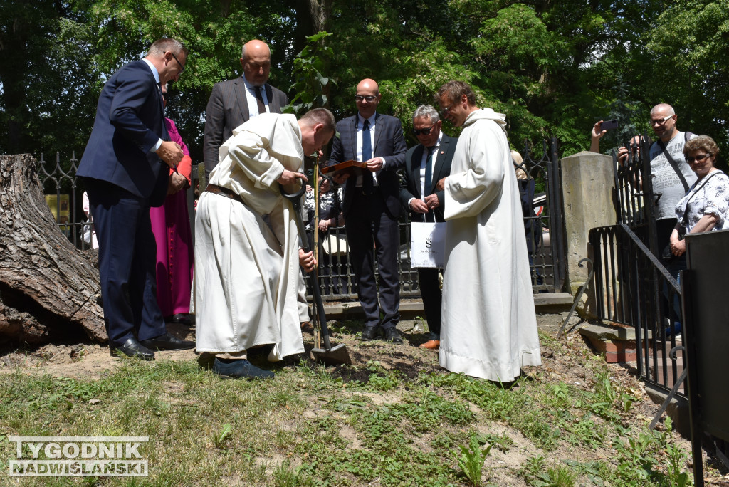 800-lecie obecności dominikanów w Sandomierzu