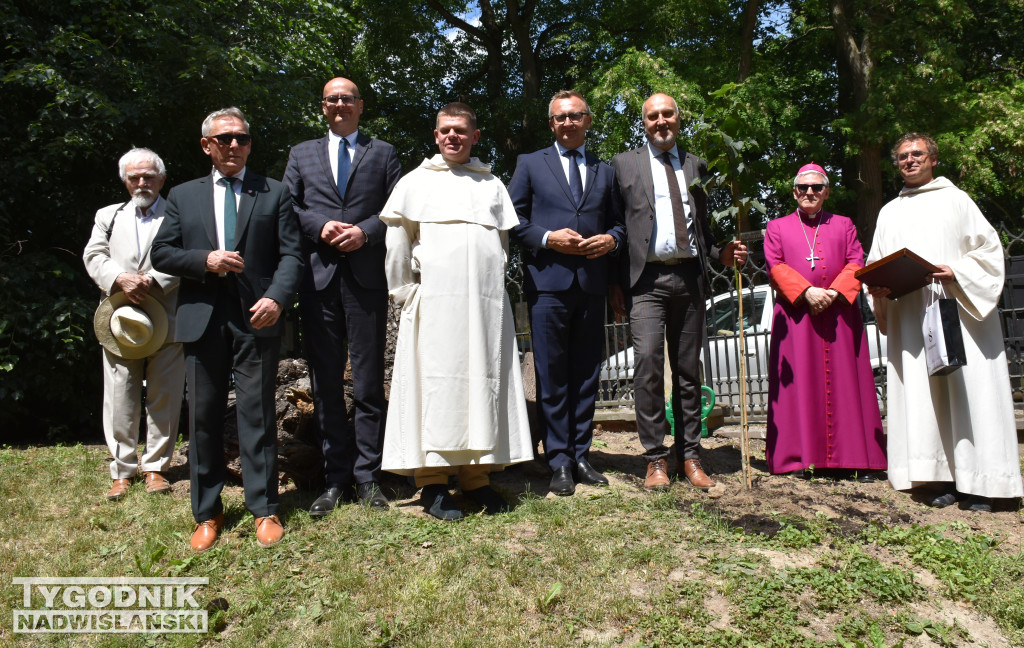 800-lecie obecności dominikanów w Sandomierzu