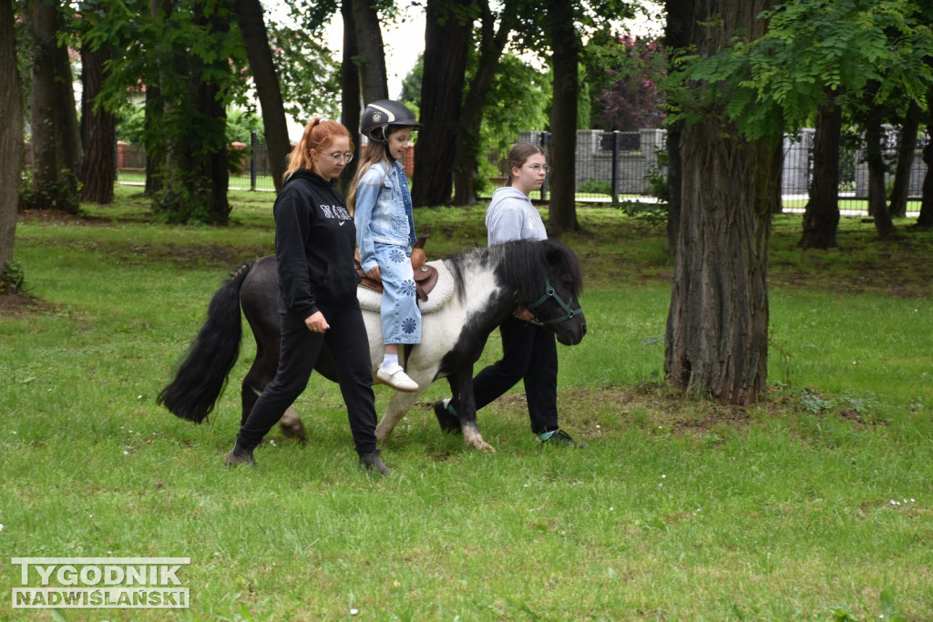 Piknik Rolniczy w Sichowie Dużym