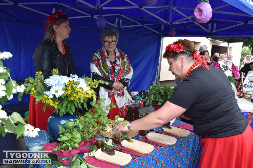 Piknik Rolniczy w Sichowie Dużym